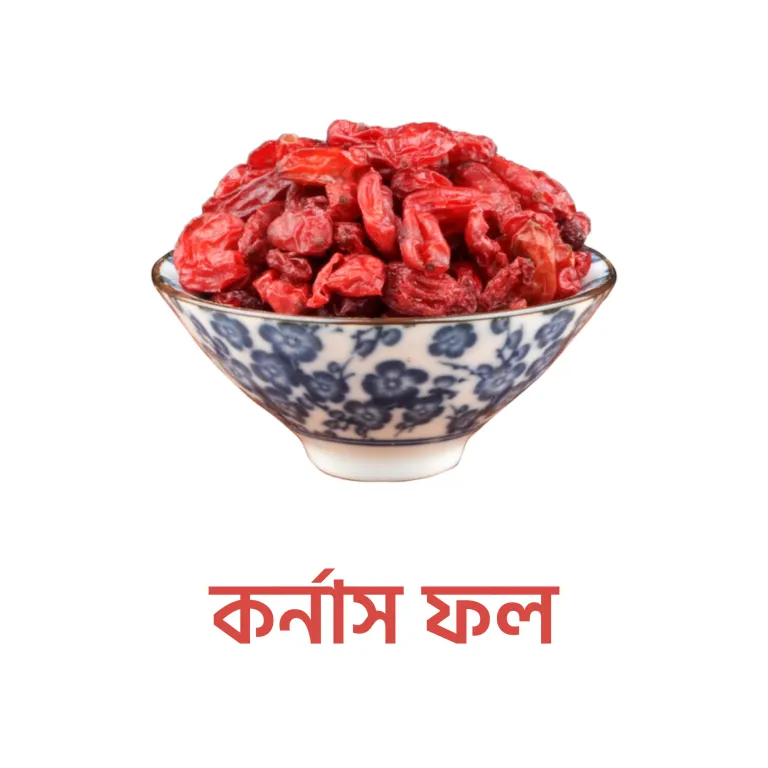 কর্নাস ফল